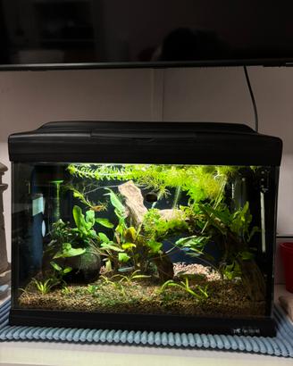 Acquario Ferplast Cayman 40 - 21L