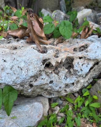 rocce da giardino stock