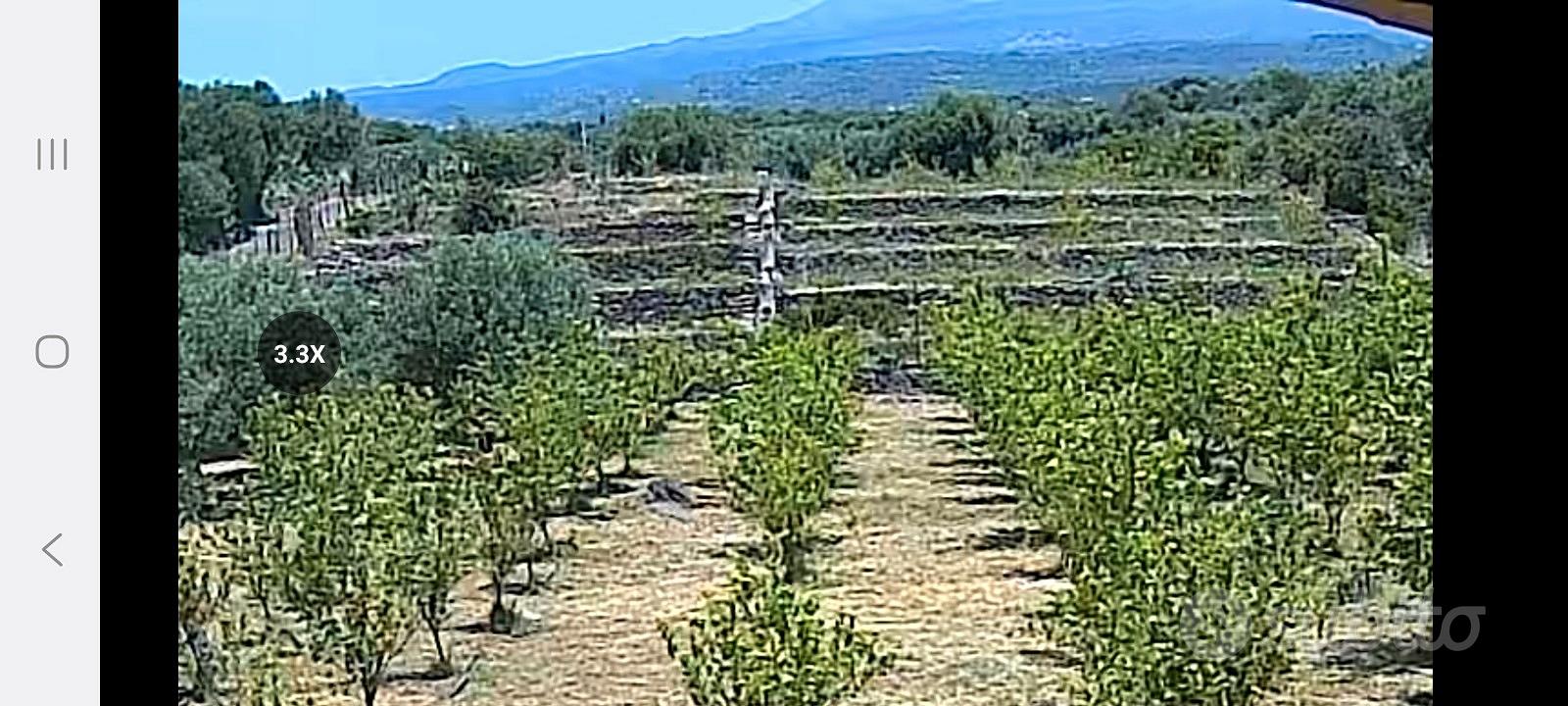 Terreno agricolo edificabile. Zona turistica - Vista 4