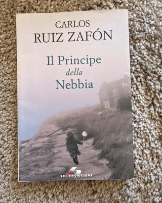 Il principe nella nebbia