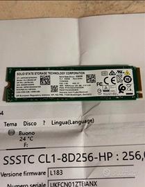 Ssd nvme da 256 gb del hp testato