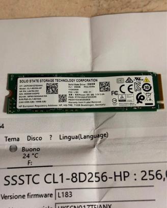 Ssd nvme da 256 gb del hp testato