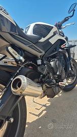 Scarico Completo Dominator per Street Triple 765