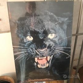 Litografia con cornice in vetro 