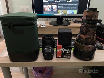 Sigma 300 2.8 Apo + tele converter