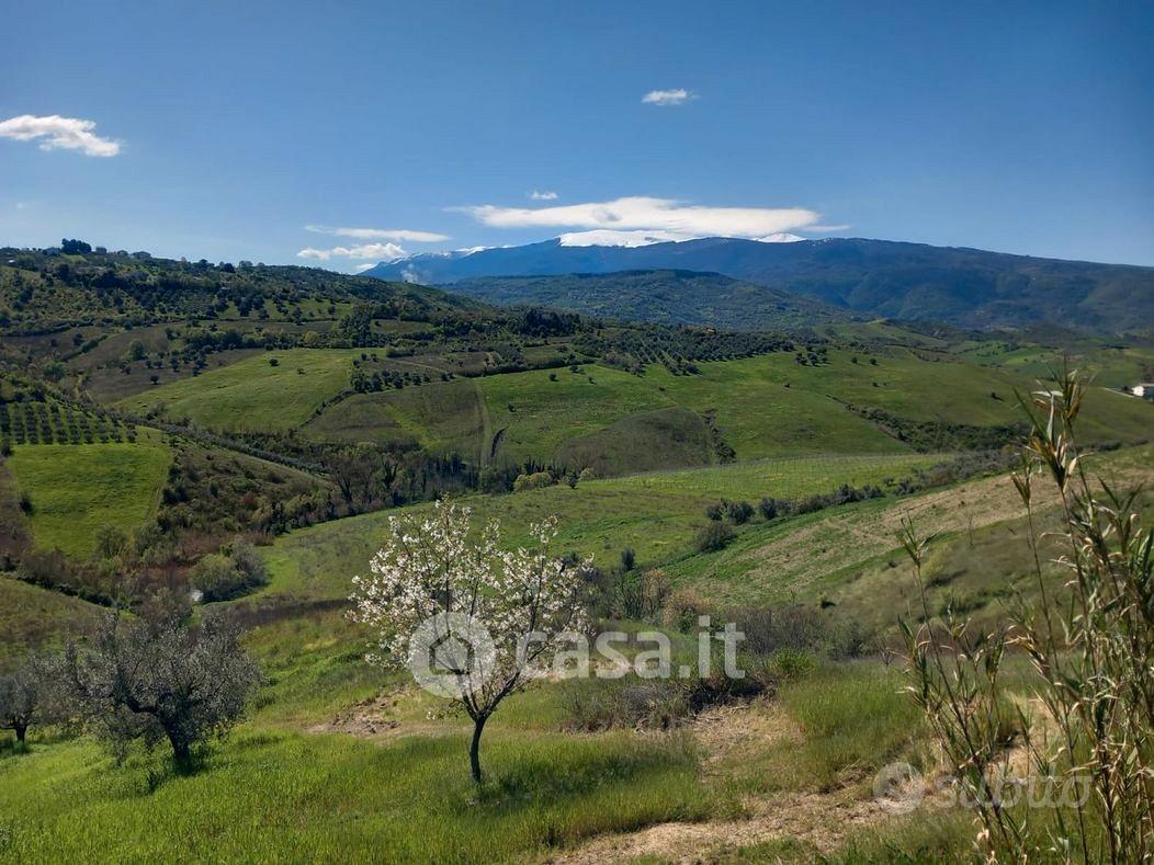 Terreno con piccolo lago - Vista 6