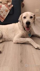 Fede 11 anni di simpatia e bontà!