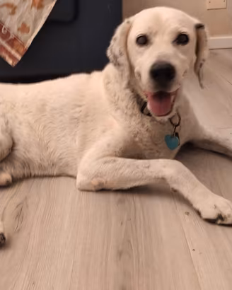 Fede 11 anni di simpatia e bontà!