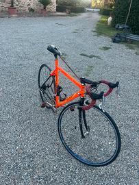 biciclettta da corsa marca ross art