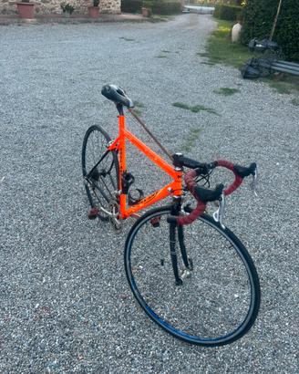 biciclettta da corsa marca ross art