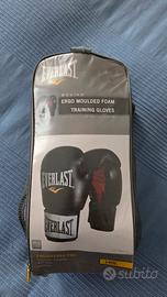 Guanti Boxe Everlast
