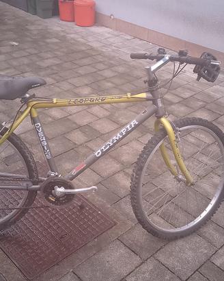 bici ragazzo 26"