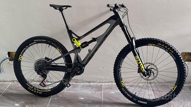 Intense Tracer 275c Mullet tg M