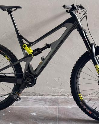 Intense Tracer 275c Mullet tg M