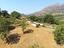 Immagine 16
