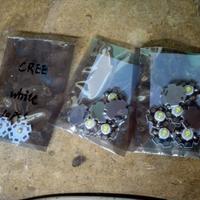 Scheda programma acquario