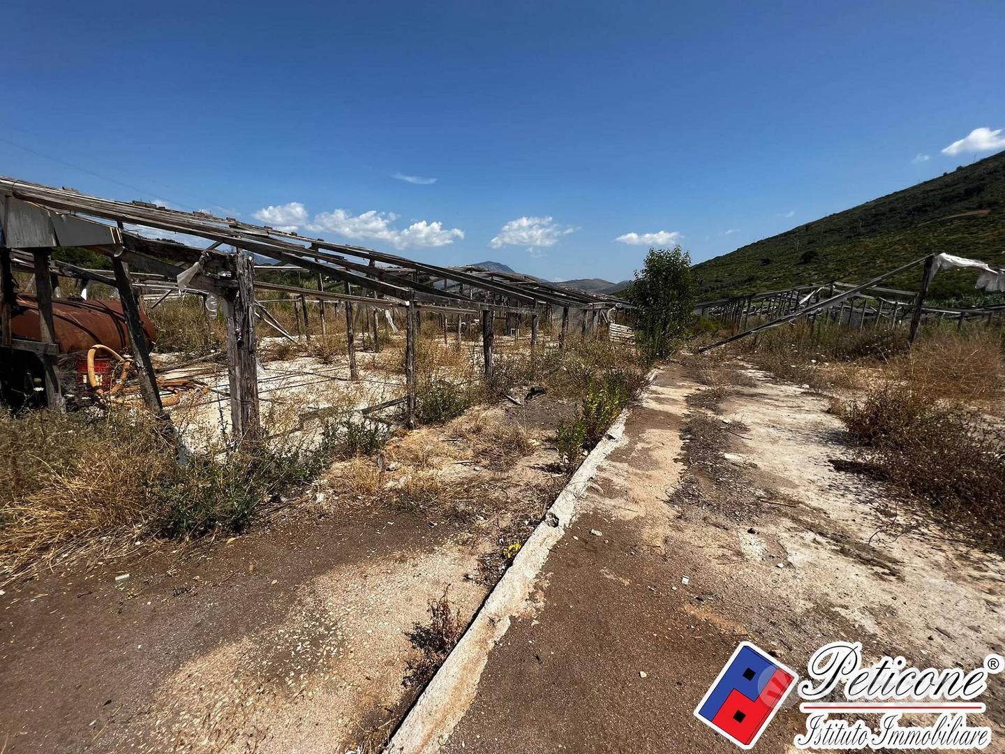 Terreno agricolo - Fondi - Vista 4