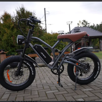 Bici elettrica jansno x50