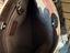 Immagine 6