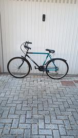 bici pollici 26
