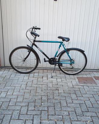 bici pollici 26