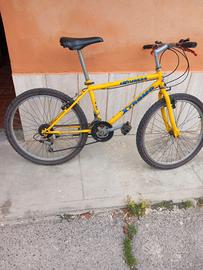 Mountain bike da 24