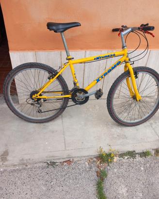Mountain bike da 24
