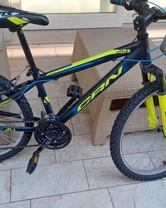 Bicicletta ragazzo 
