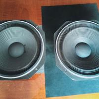 Woofers Fostex FW300 da 12 pollici