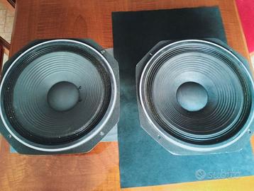 Woofers Fostex FW300 da 12 pollici