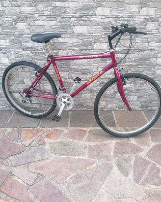  bici mtb 