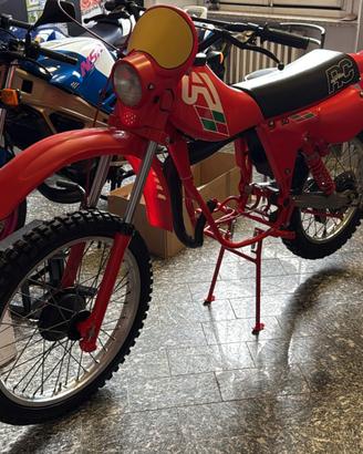 Aprilia RC 50 1981