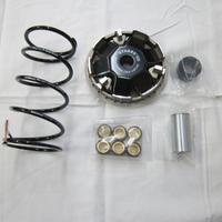 Variatore STAGE 6 Sport Pro per Piaggio tutti Mode