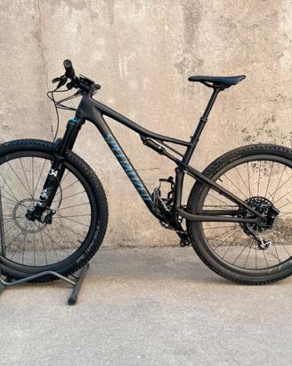 Specialized epic carbon evo