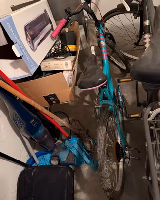Bicicletta bambina 20 pollici azzurra e rosa