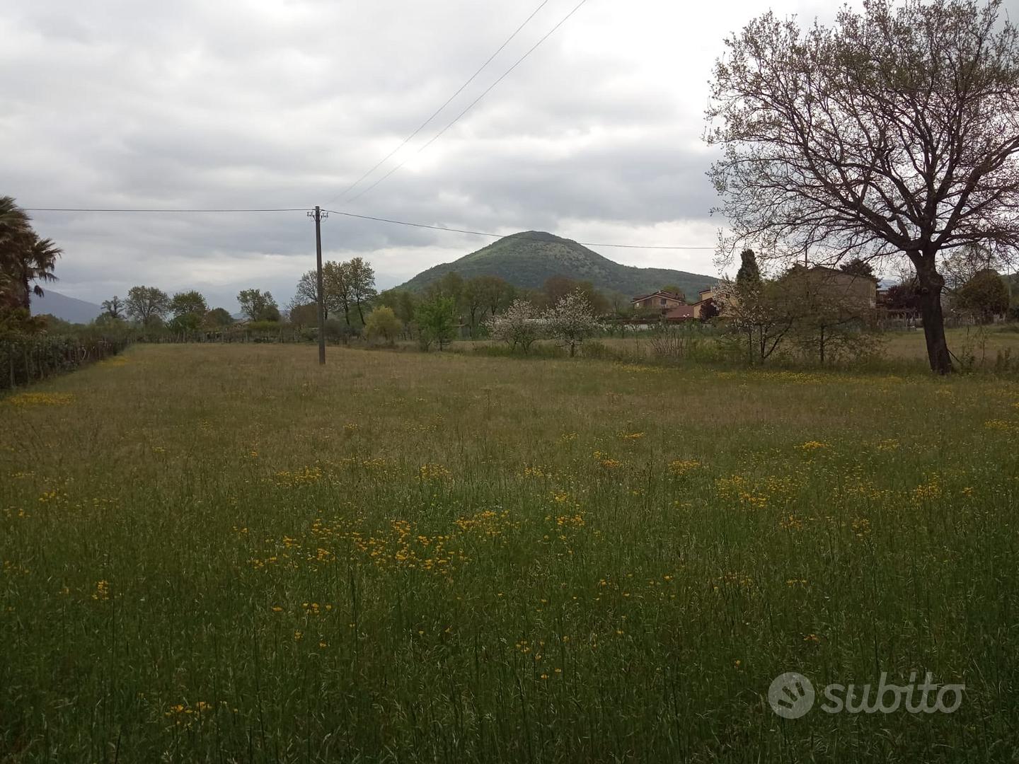 Terreno Riardo - Vista 6