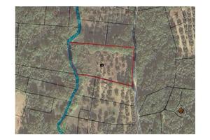 Uliveto in San Giacomo degli Schiavoni