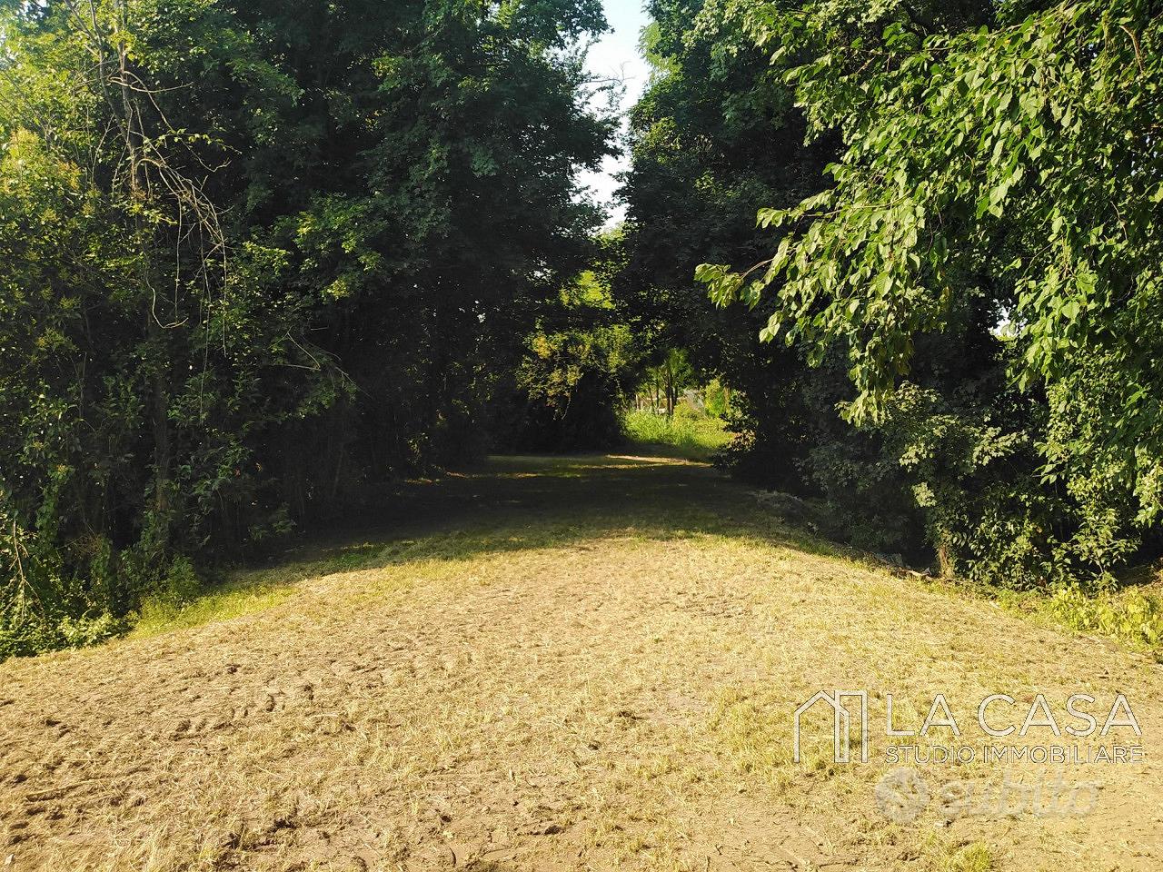 Terreno a San Giorgio della Richinvelda (PN) - Vista 5