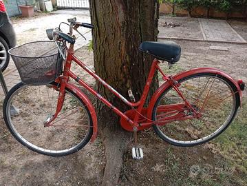 Bicicletta con cestino