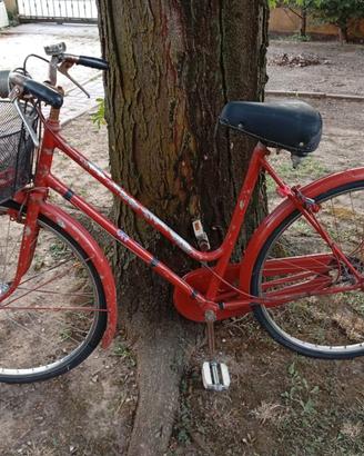 Bicicletta con cestino