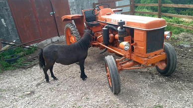 Trattore agricolo Renault super 5