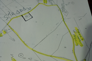 Terreno con quote vigna pecorino. Passerina