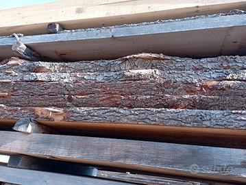 assi cedro del Libano 