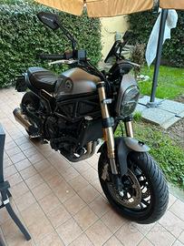 Benelli leoncino 800