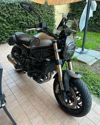 Benelli leoncino 800