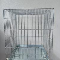 gabbia per papagalli