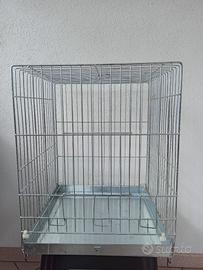 gabbia per papagalli