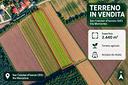 terreno-agricolo-2440-mq-con-acqua-ed-accesso