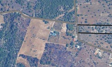 Terreno Agricolo - Crispiano