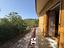 Immagine 15